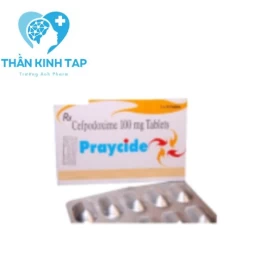 Praycide 100g  - Thuốc điều trị nhiễm khuẩn